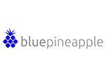 ibm-logo